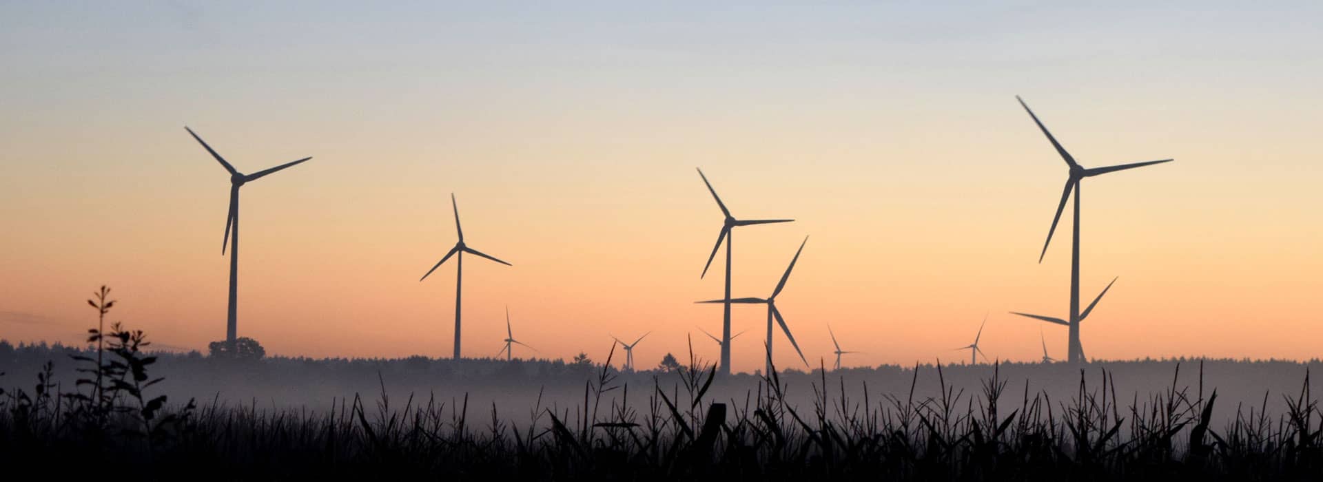 Windräder im Morgenrot